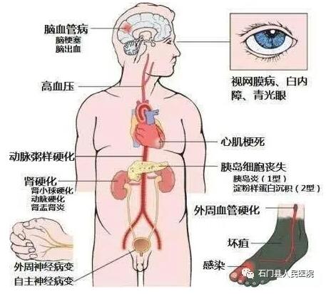 QQ截图20211111082152.jpg